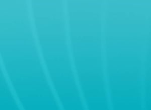 pwr-img_bento-bg-maka